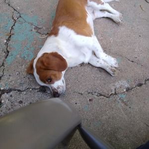 Meet your Posher, Norma